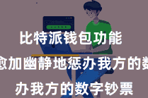 比特派钱包功能 让用户愈加幽静地惩办我方的数字钞票