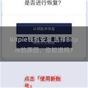 Bitpie钱包安装 选择Bitpie的原因，你知道吗？