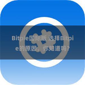 Bitpie国际版 选择Bitpie的原因，你知道吗？