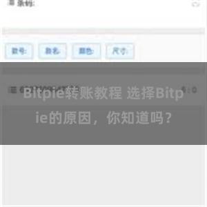 Bitpie转账教程 选择Bitpie的原因，你知道吗？