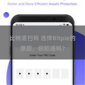 比特派扫码 选择Bitpie的原因，你知道吗？