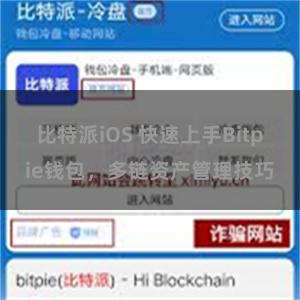 比特派iOS 快速上手Bitpie钱包，多链资产管理技巧