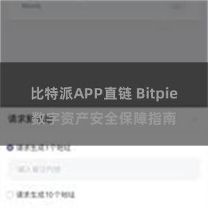 比特派APP直链 Bitpie数字资产安全保障指南