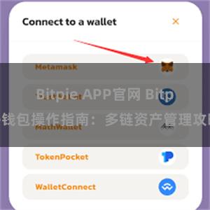 Bitpie APP官网 Bitpie钱包操作指南：多链资产管理攻略