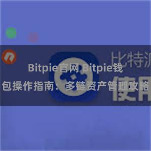 Bitpie官网 Bitpie钱包操作指南：多链资产管理攻略