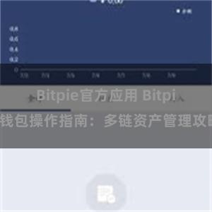 Bitpie官方应用 Bitpie钱包操作指南：多链资产管理攻略