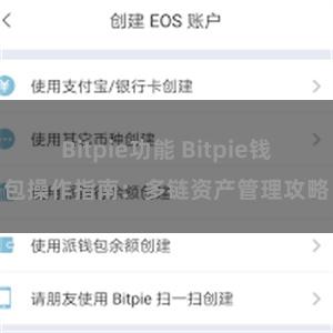 Bitpie功能 Bitpie钱包操作指南：多链资产管理攻略