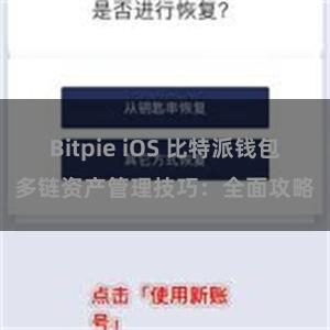 Bitpie iOS 比特派钱包多链资产管理技巧：全面攻略