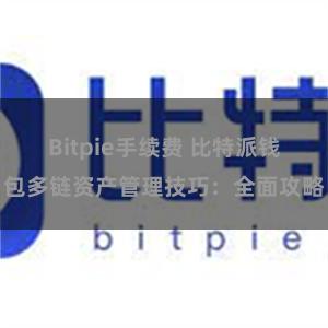 Bitpie手续费 比特派钱包多链资产管理技巧：全面攻略