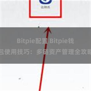 Bitpie配置 Bitpie钱包使用技巧：多链资产管理全攻略