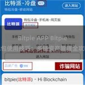 Bitpie APP Bitpie钱包使用技巧：多链资产管理全攻略