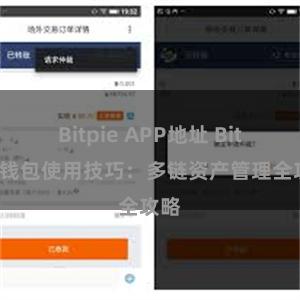 Bitpie APP地址 Bitpie钱包使用技巧：多链资产管理全攻略