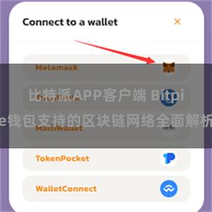 比特派APP客户端 Bitpie钱包支持的区块链网络全面解析