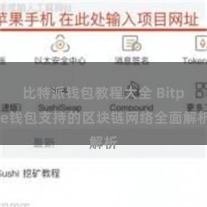 比特派钱包教程大全 Bitpie钱包支持的区块链网络全面解析