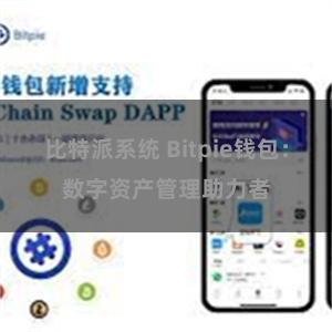 比特派系统 Bitpie钱包：数字资产管理助力者