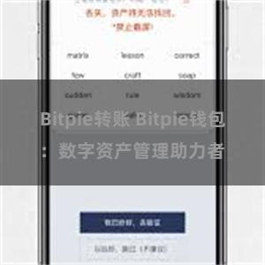 Bitpie转账 Bitpie钱包：数字资产管理助力者