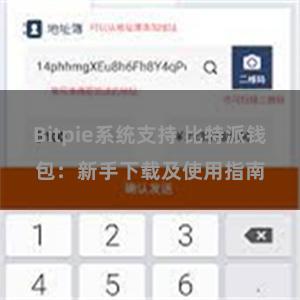 Bitpie系统支持 比特派钱包：新手下载及使用指南