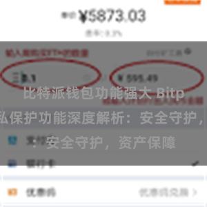 比特派钱包功能强大 Bitpie钱包隐私保护功能深度解析：安全守护，资产保障