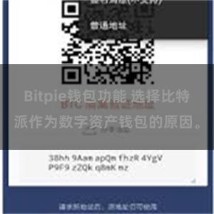 Bitpie钱包功能 选择比特派作为数字资产钱包的原因。