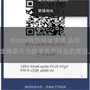 Bitpie钱包地址生成 选择比特派作为数字资产钱包的原因。