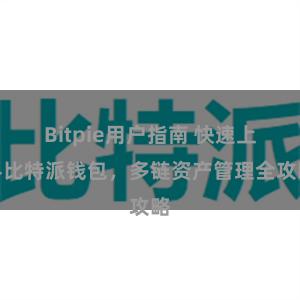 Bitpie用户指南 快速上手比特派钱包，多链资产管理全攻略