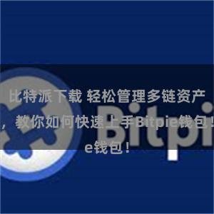 比特派下载 轻松管理多链资产，教你如何快速上手Bitpie钱包！