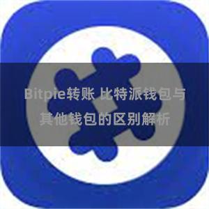 Bitpie转账 比特派钱包与其他钱包的区别解析