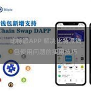 比特派APP 解决比特派钱包使用问题的实用技巧