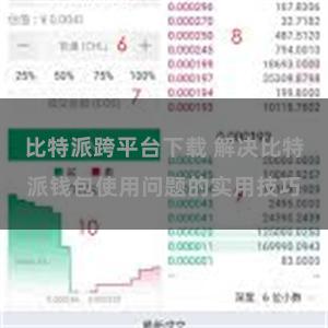 比特派跨平台下载 解决比特派钱包使用问题的实用技巧