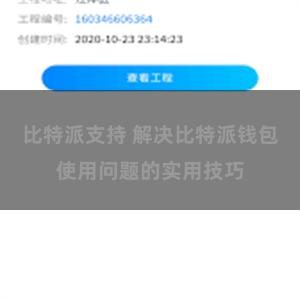 比特派支持 解决比特派钱包使用问题的实用技巧