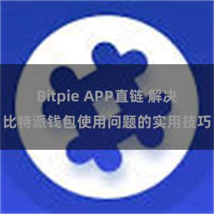 Bitpie APP直链 解决比特派钱包使用问题的实用技巧