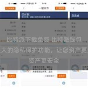 比特派下载免费 比特派钱包：强大的隐私保护功能，让您资产更安全