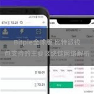 Bitpie全球版 比特派钱包支持的主要区块链网络解析