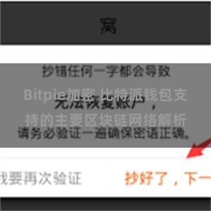 Bitpie加密 比特派钱包支持的主要区块链网络解析