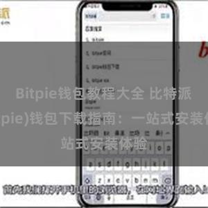 Bitpie钱包教程大全 比特派(Bitpie)钱包下载指南：一站式安装体验