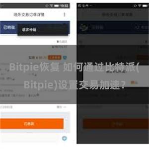 Bitpie恢复 如何通过比特派(Bitpie)设置交易加速？