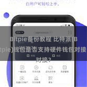 Bitpie备份教程 比特派(Bitpie)钱包是否支持硬件钱包对接？