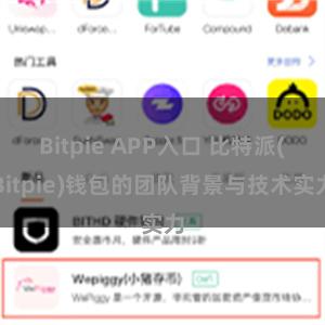 Bitpie APP入口 比特派(Bitpie)钱包的团队背景与技术实力