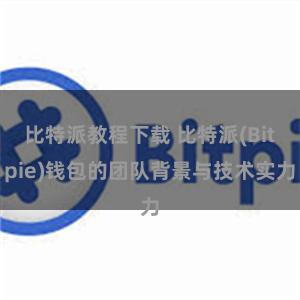 比特派教程下载 比特派(Bitpie)钱包的团队背景与技术实力