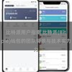 比特派用户指南 比特派(Bitpie)钱包的团队背景与技术实力