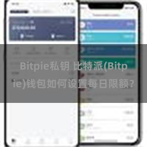 Bitpie私钥 比特派(Bitpie)钱包如何设置每日限额？