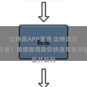 比特派APP直连 比特派交易必看！精细指南助你快速驾驭并获利