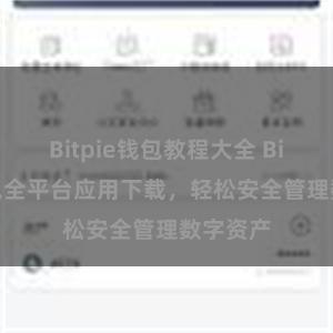 Bitpie钱包教程大全 Bitpie钱包全平台应用下载，轻松安全管理数字资产