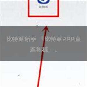 比特派新手 「比特派APP直连教程」。