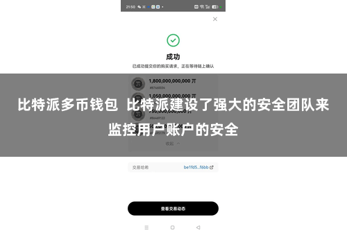 比特派多币钱包  比特派建设了强大的安全团队来监控用户账户的安全