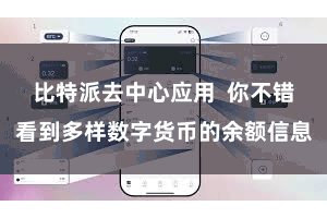 比特派去中心应用  你不错看到多样数字货币的余额信息