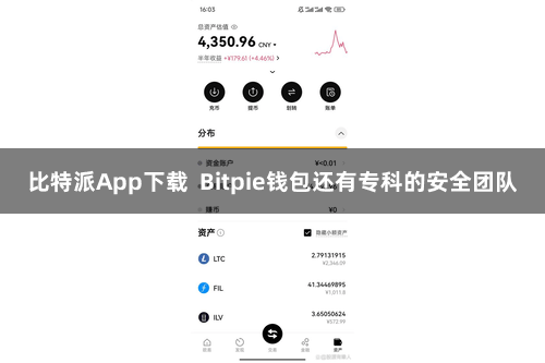 比特派App下载  Bitpie钱包还有专科的安全团队
