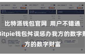 比特派钱包官网  用户不错通过Bitpie钱包舛误惩办我方的数字财富